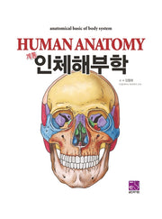 인체해부학(계통)