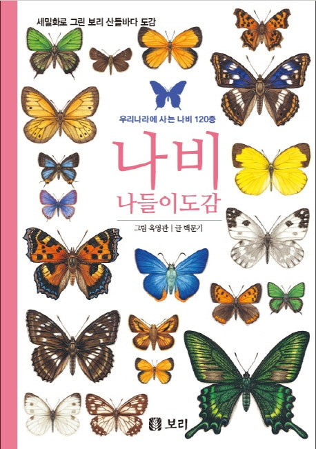 나비 나들이 도감