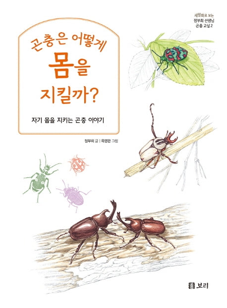 곤충은 어떻게 몸을 지킬까?(세밀화로 보는 정부희 선생님 곤충 교실 2)