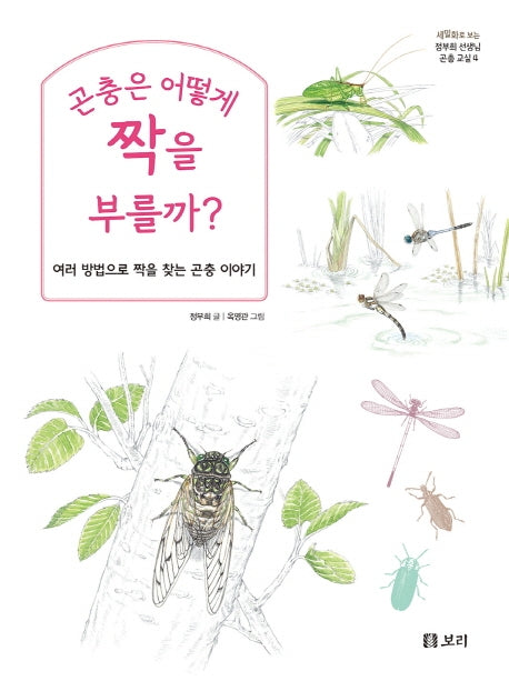 곤충은 어떻게 짝을 부를까?(세밀화로 보는 정부희 선생님 곤충 교실 4)