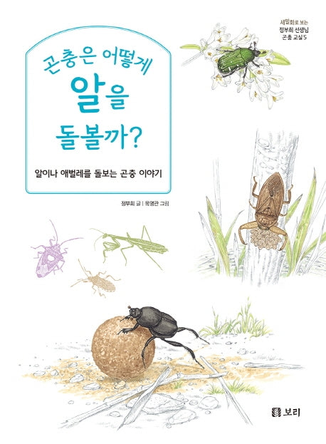 곤충은 어떻게 알을 돌볼까?(세밀화로 보는 정부희 선생님 곤충 교실 5)