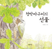 청딱따구리의 선물(빅북)(보리 빅북 12)