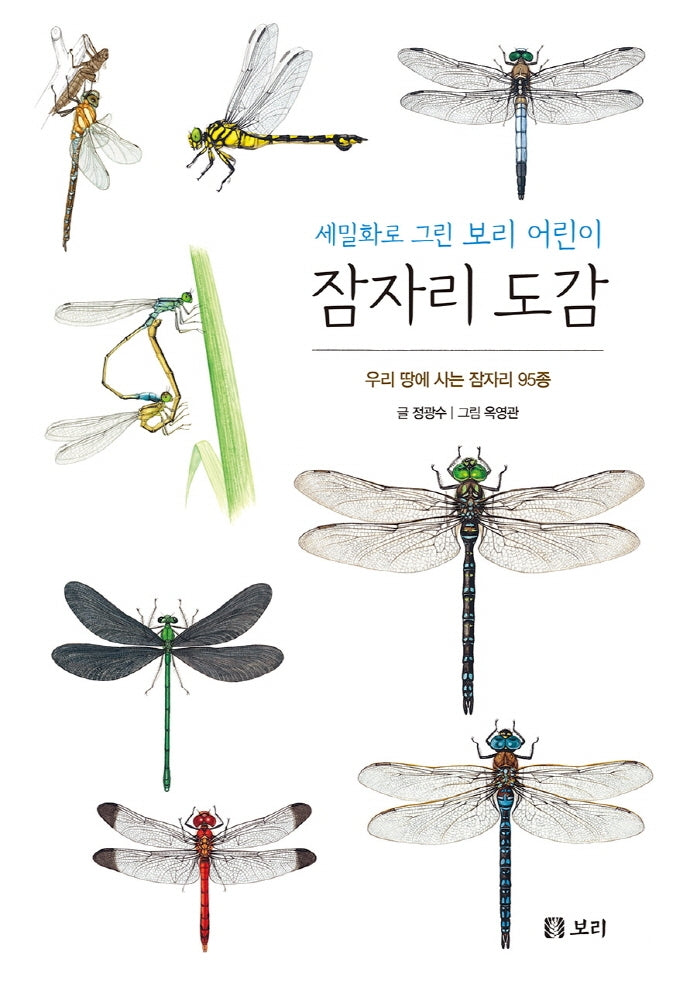 잠자리 도감(보급판)(세밀화로 그린 보리 어린이 14)