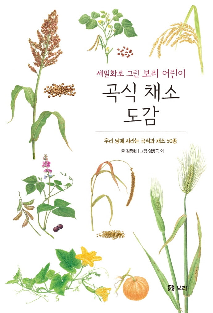 곡식 채소 도감(보급판)(세밀화로 그린 보리 어린이 15)