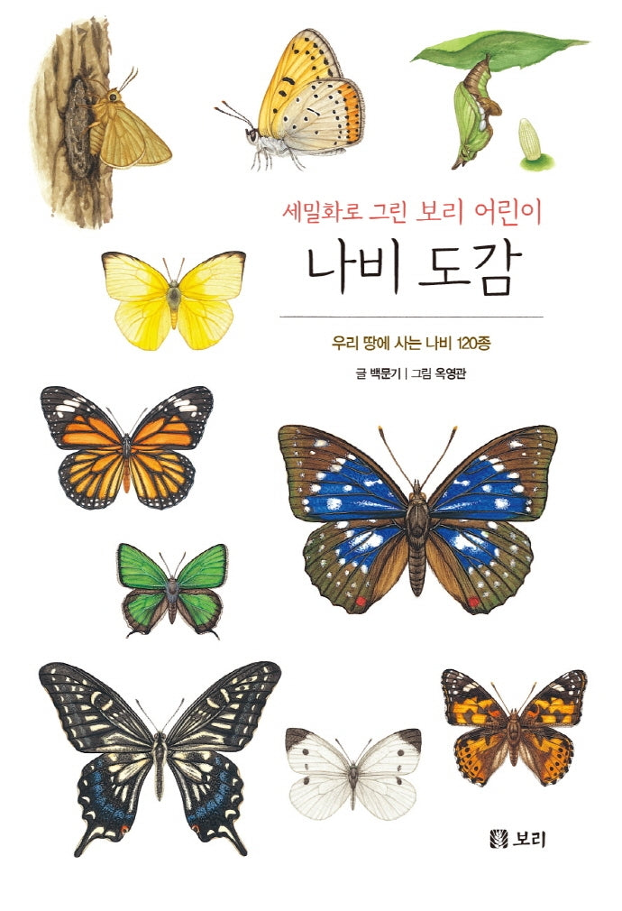 나비 도감(보급판)(세밀화로 그린 보리 어린이 16)