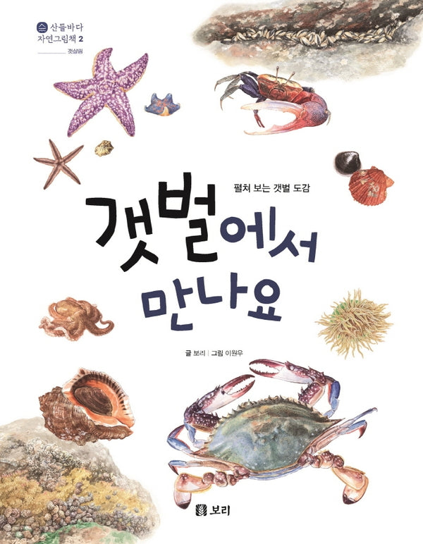 갯벌에서 만나요(산들바다 자연그림책 2)(양장본 Hardcover)
