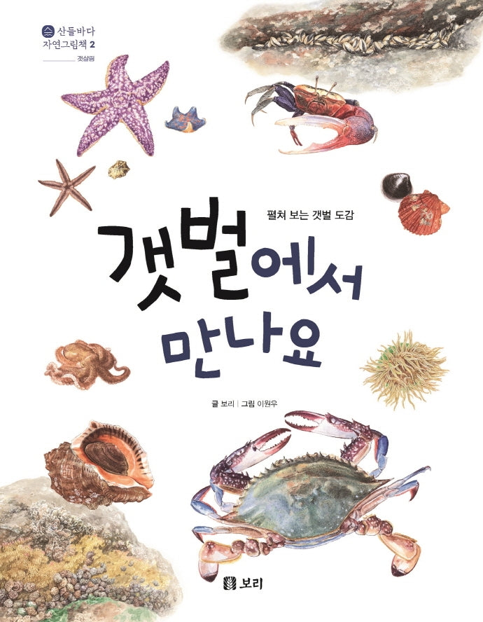 갯벌에서 만나요(산들바다 자연그림책 2)(양장본 Hardcover)