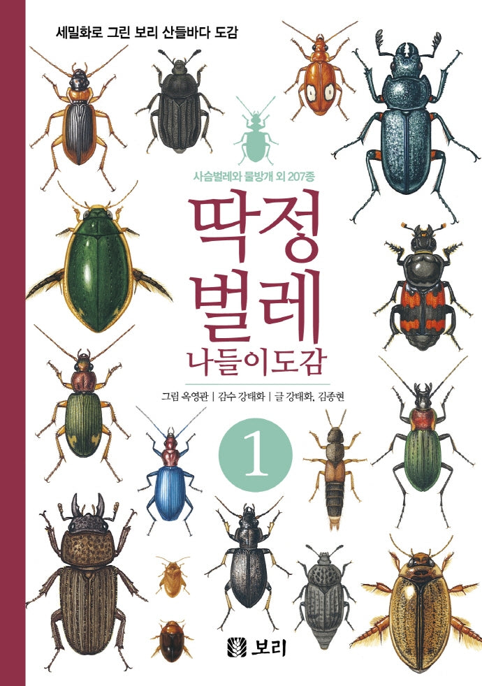딱정벌레 나들이도감 1(세밀화로 그린 보리 산들바다 도감)