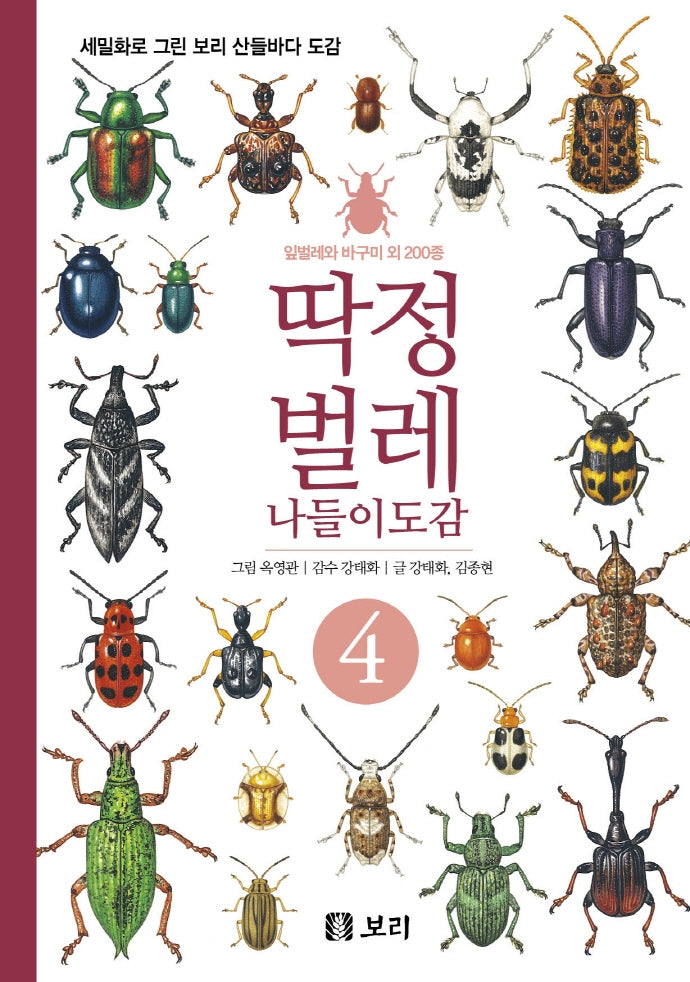 딱정벌레 나들이도감 4(세밀화로 그린 보리 산들바다 도감)