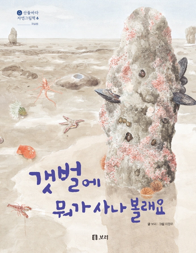 갯벌에 뭐가 사나 볼래요(산들바다 자연그림책 6)(양장본 Hardcover)