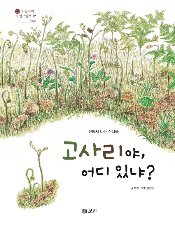 고사리야, 어디 있냐?(산들바다 자연그림책 12)(양장본 Hardcover)