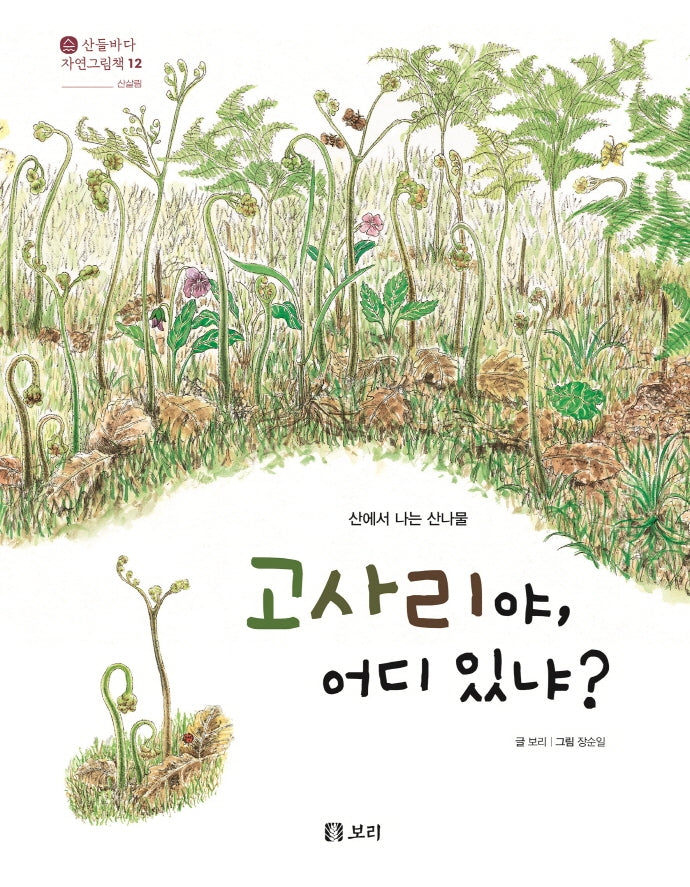 고사리야, 어디 있냐?(산들바다 자연그림책 12)(양장본 Hardcover)