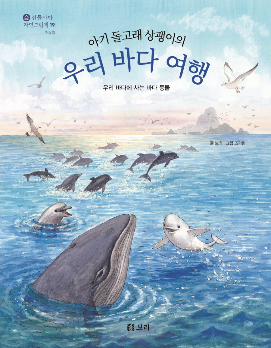 아기 돌고래 상괭이의 우리 바다 여행(산들바다 자연그림책 19)(양장본 Hardcover)