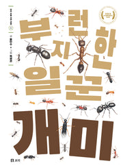 부지런한 일꾼 개미(보리 초등 자연관찰 1)(양장본 Hardcover)