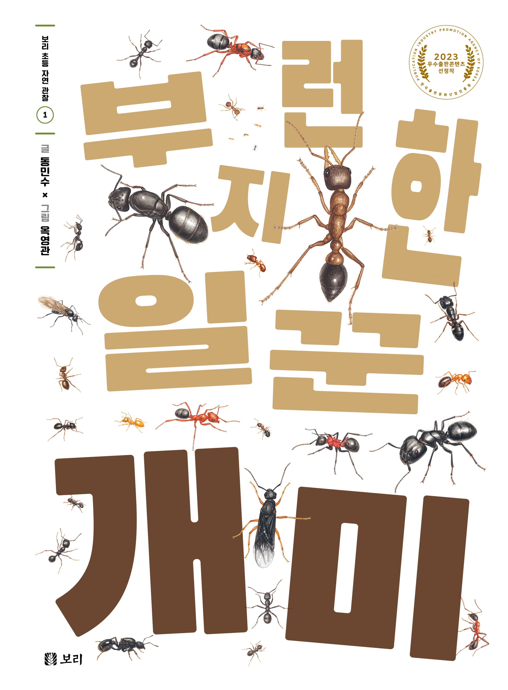 부지런한 일꾼 개미(보리 초등 자연관찰 1)(양장본 Hardcover)