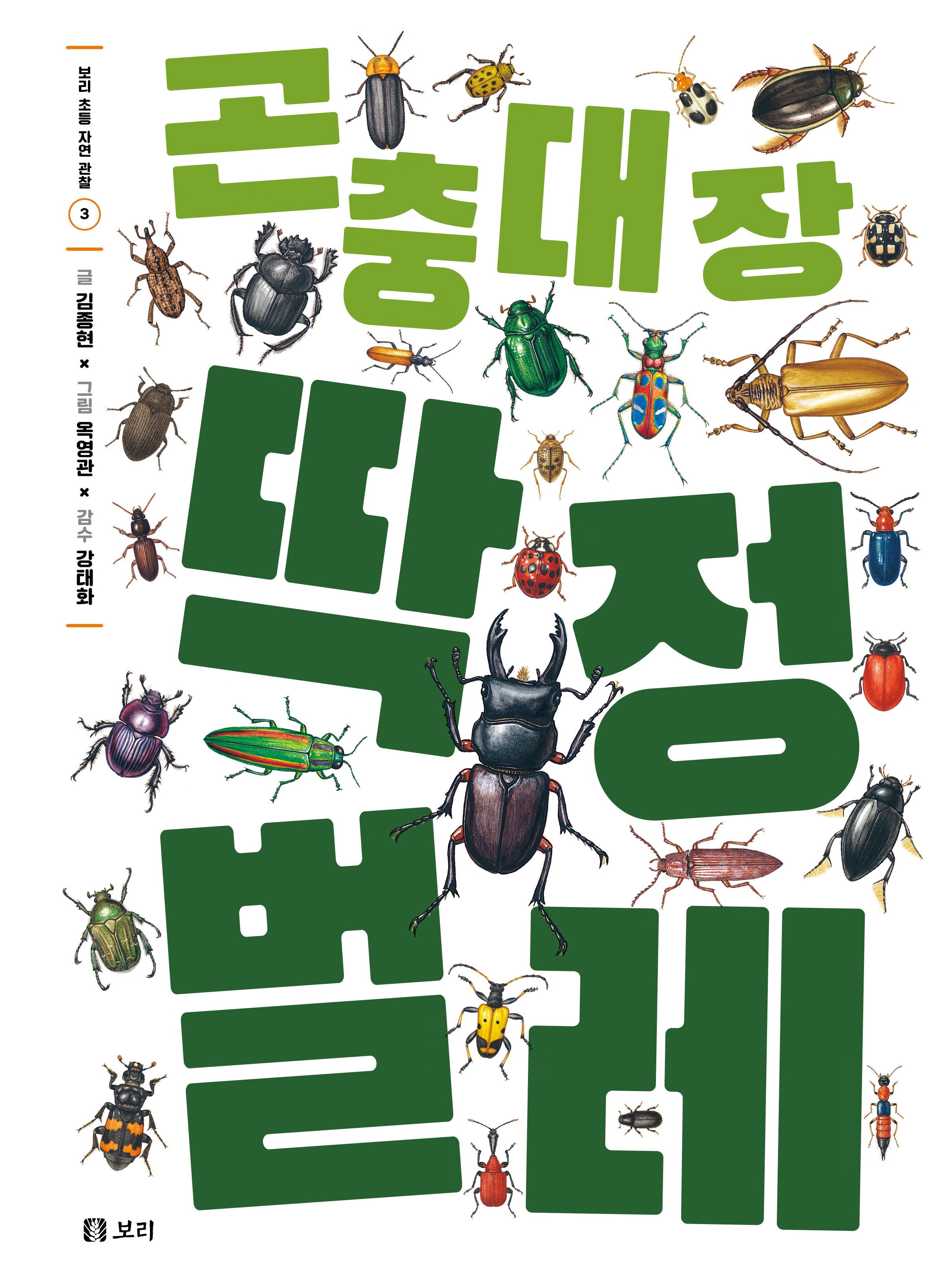 곤충 대장 딱정벌레(보리 초등 자연 관찰 3)(양장본 Hardcover)
