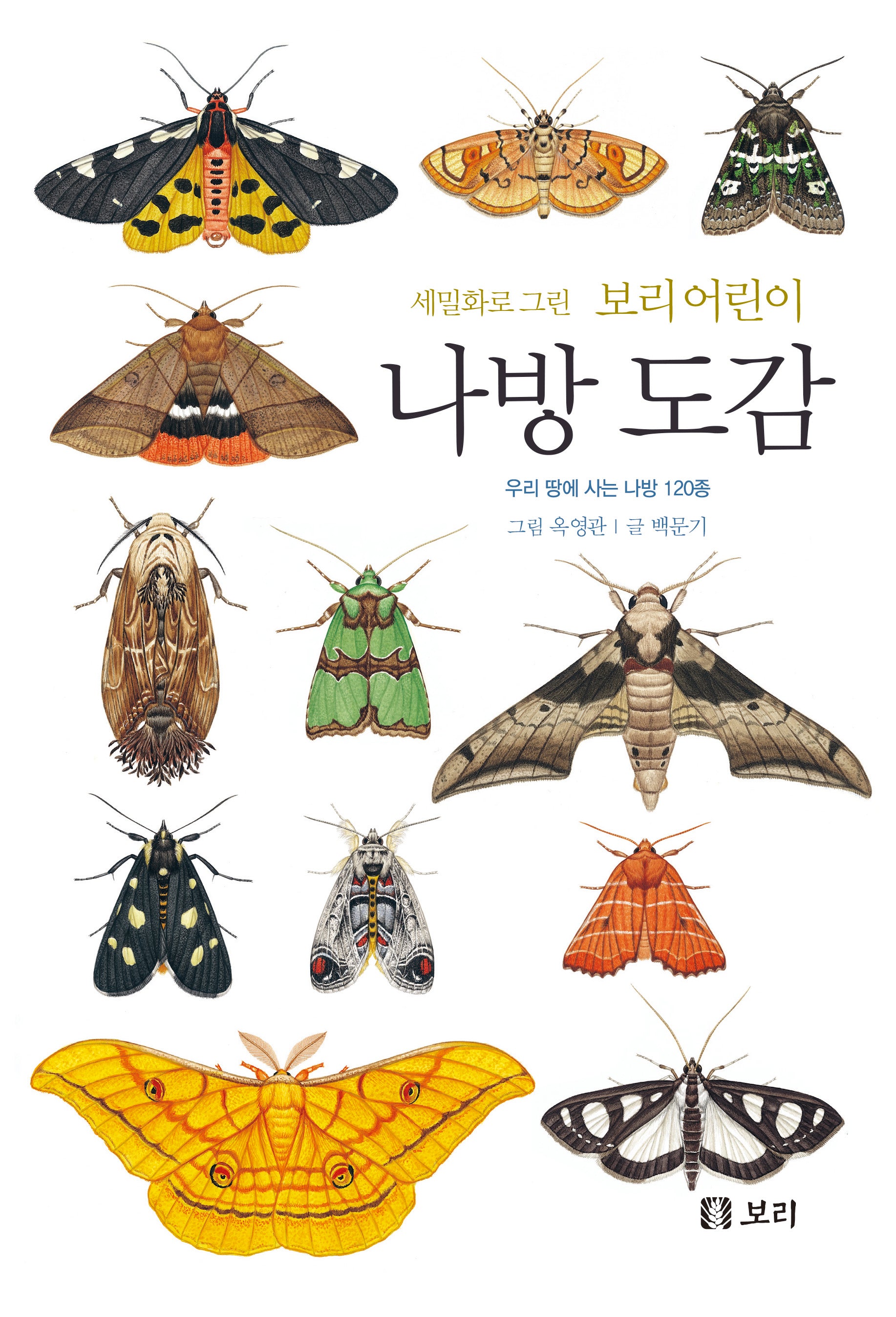 세밀화로 그린 보리 어린이 나방 도감(양장본 Hardcover)