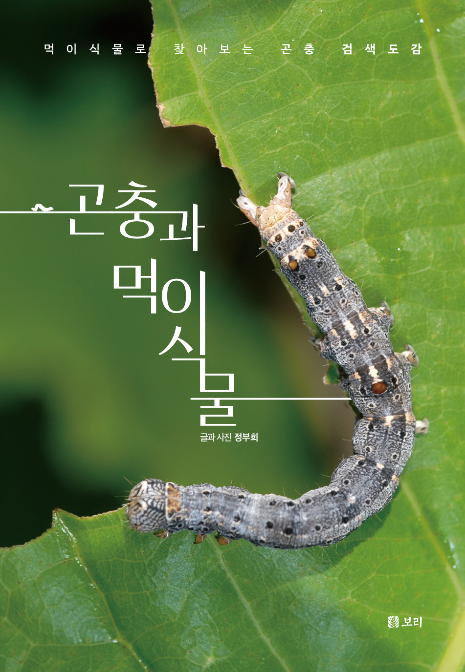 곤충과 먹이식물