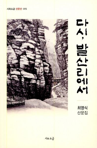 다시, 발산리에서(시와소금 산문선 015)
