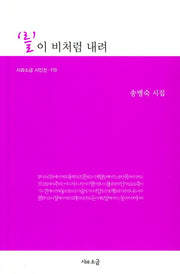 를이 비처럼 내려(시와소금 시인선 110)