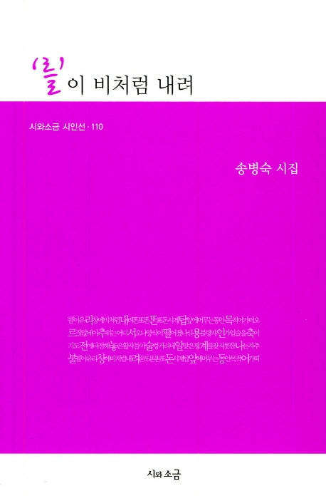 를이 비처럼 내려(시와소금 시인선 110)