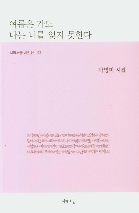 여름은 가도 나는 너를 잊지 못한다(시와소금 시인선 112)