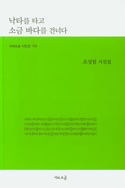 낙타를 타고 소금 바다를 건너다(시와소금 시인선 113)