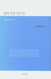 볼록거울 속으로(시와소금 시인선 115)