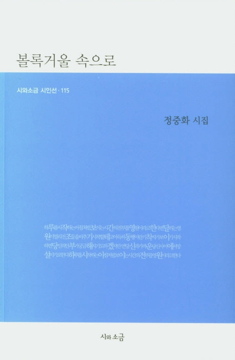 볼록거울 속으로(시와소금 시인선 115)