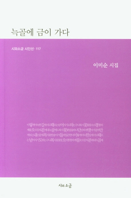 늑골에 금이 가다(시와소금 시인선 117)