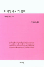 터미널에 비가 온다(시와소금 시인선 119)