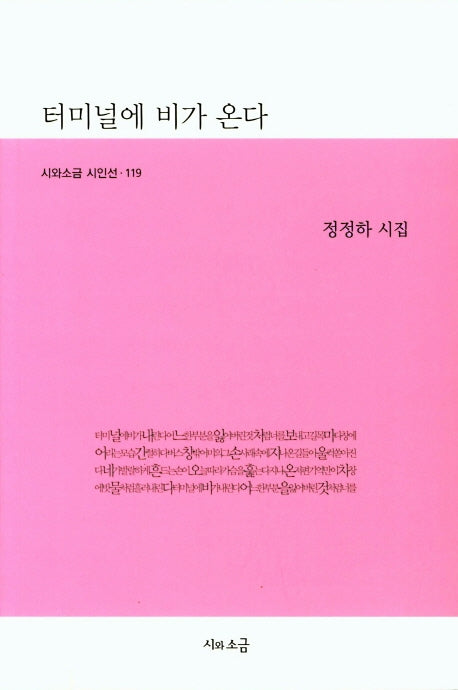 터미널에 비가 온다(시와소금 시인선 119)