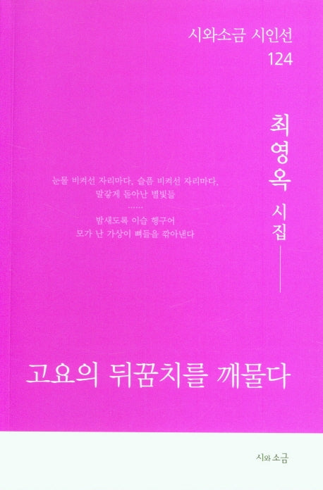 고요의 뒤꿈치를 깨물다(시와소금 시인선 124)