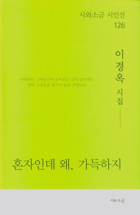 혼자인데 왜, 가득하지(시와소금 시인선 126)