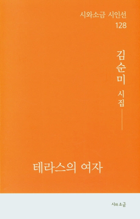 테라스의 여자(시와소금 시인선 128)