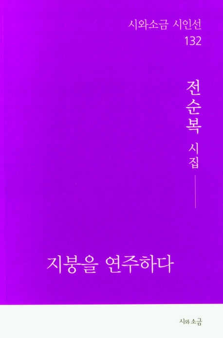 지붕을 연주하다(시와소금 시인선 132)