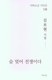 숨 멎어 전쟁이다(시와소금 시인선 138)