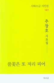풀꽃은 또 저리 피어(시와소금 시인선 141)