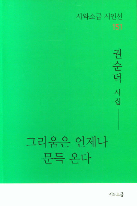 그리움은 언제나 문득 온다(시와소금 시인선 151)