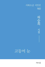 고등어 눈(시와소금 시인선 160)