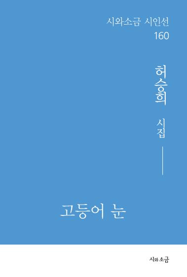 고등어 눈(시와소금 시인선 160)