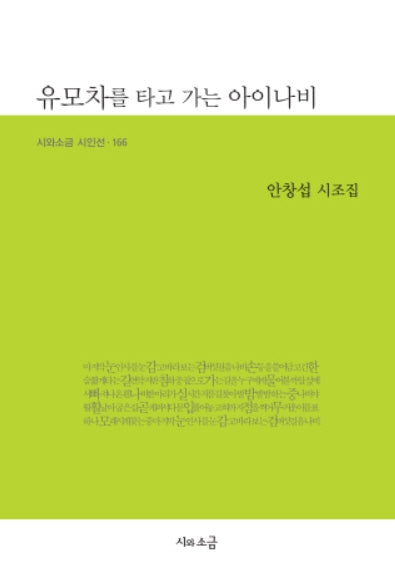 유모차를 타고 가는 아이나비(시와소금 시인선 166)