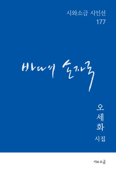 바다의 손자국(시와소금 시인선 177)