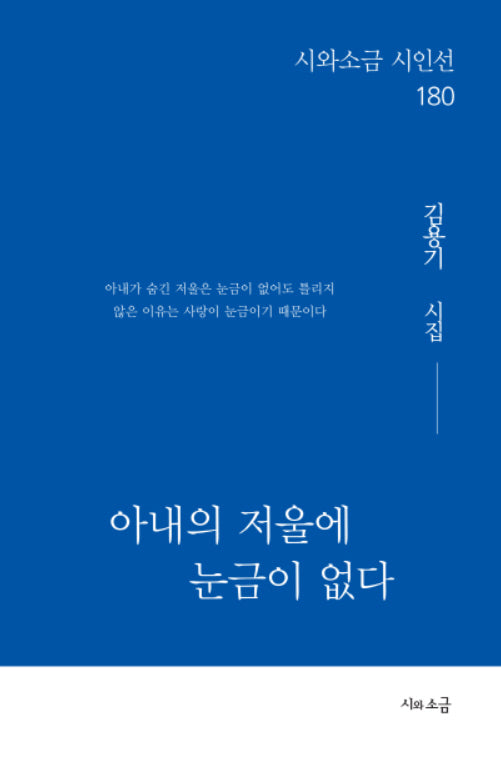 아내의 저울에 눈금이 없다(시와소금 시인선 180)