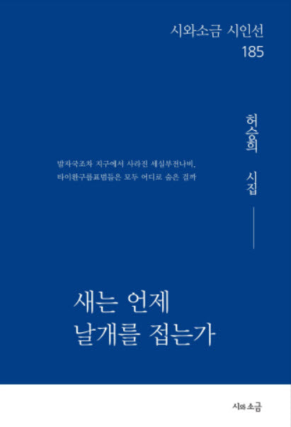 새는 언제 날개를 접는가(시와소금 시인선 185)