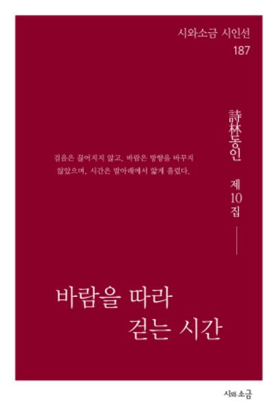 바람을 따라 거는 시간(시와소금 시인선 187)