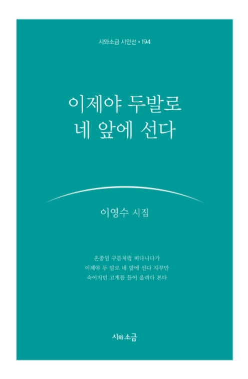 이제야 두 발로 네 앞에 선다(시와소금 시인선 194)