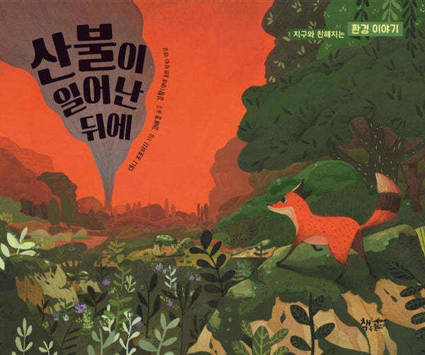 산불이 일어난 뒤에(생각을 더하는 그림책)(양장본 Hardcover)