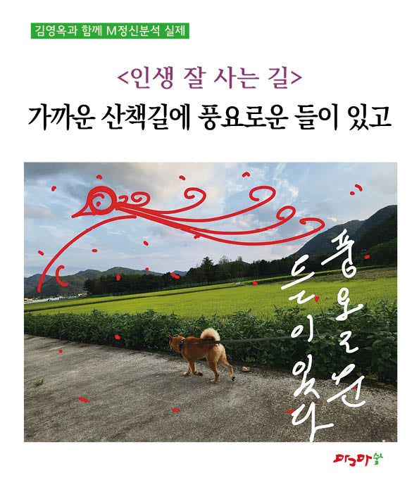 인생 잘 사는 길: 가까운 산책길에 풍요로운 들이 있고