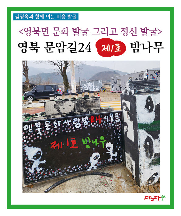 영북면 문화 발굴 그리고 정신 발굴: 영북 문암길24 제1호 밤나무